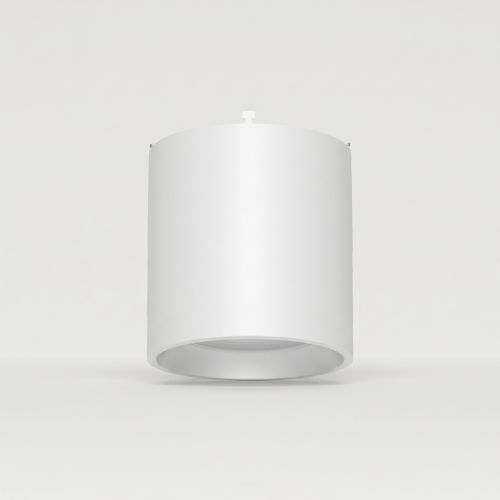 STRLT-RP1-WH-C32-Trims.